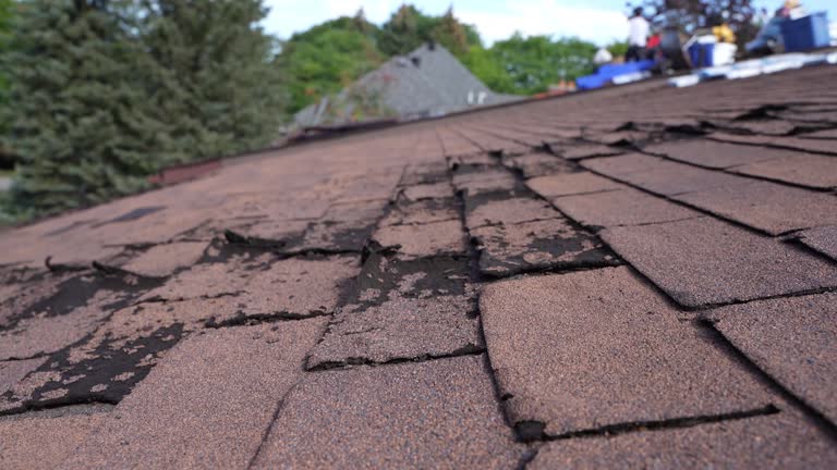 Best Roof Leak Repair  in Murrysville, PA