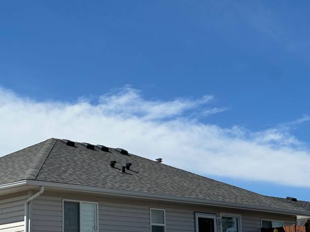 Best Sheet Metal Roofing  in Murrysville, PA